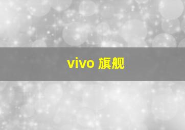 vivo 旗舰